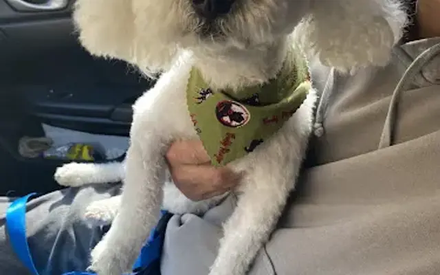 Pets Choice Grooming and Supply in Colton, CA