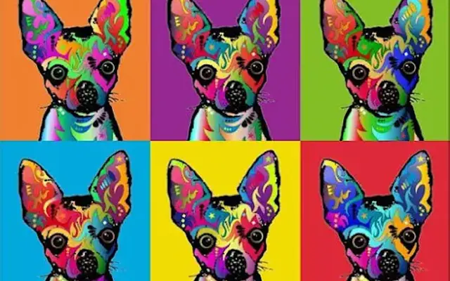 The Doggy Depot in Stanhope, NJ