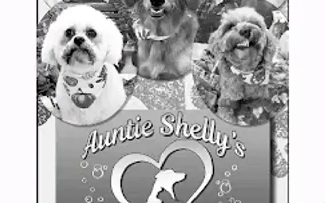 Auntie Shellys Pet Grooming in Lafayette, TN