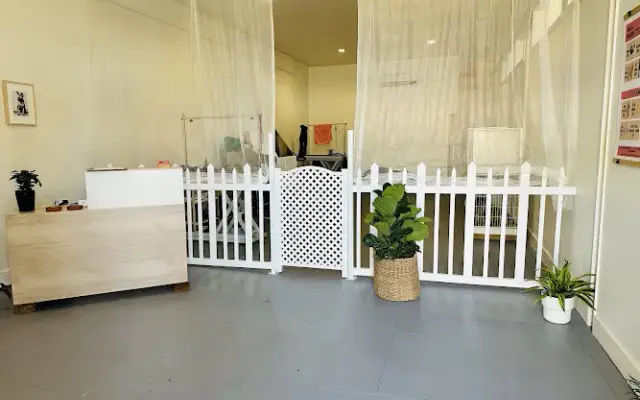 Friendly Dog Grooming in Los Angeles, CA