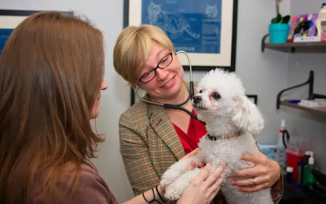 Bayou City Veterinary Hospital in Houston, TX