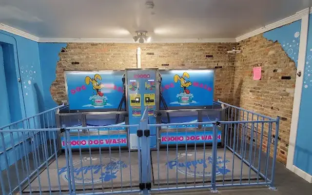 Puppy Auto Wash in Apex, NC