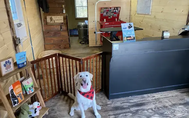 The Peachy Dog Salon LLC in Winchendon, MA