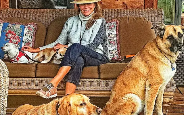 Jackson Hole Pet Sitting in Jackson, WY