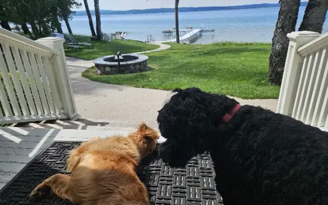 Blue Birch Pet Care in Freeland, MI