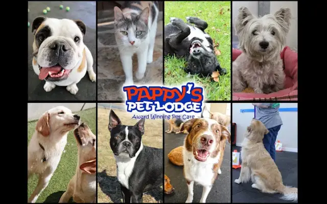 Pappys Pet Lodge - Rockwall in Rockwall, TX