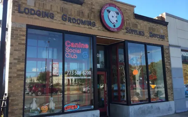 Canine Social Club in Chicago, IL