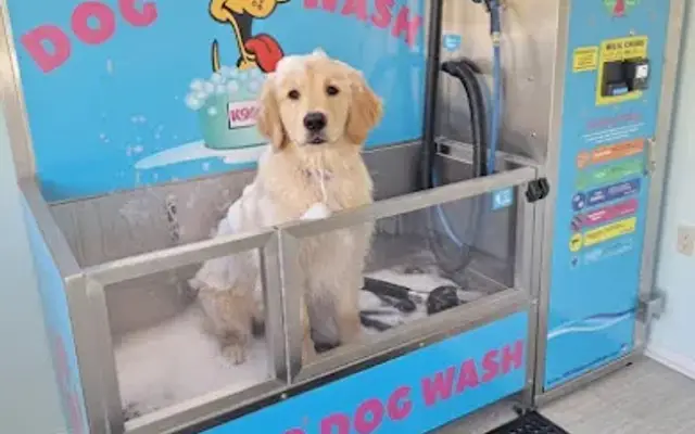DIY Dog Wash in Lawrenceburg, TN