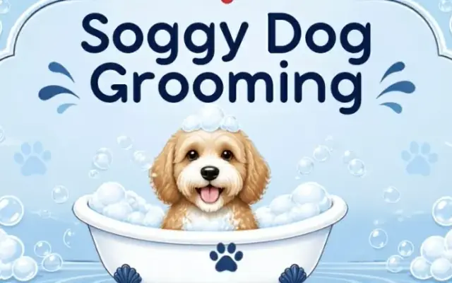 Soggy Dog Grooming in Santa Fe, TX