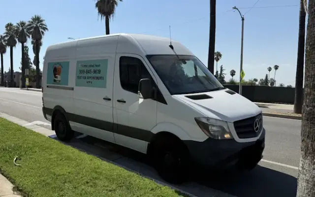 The Telltail Heart Mobile Grooming in Redlands, CA