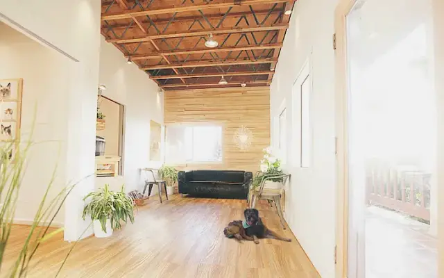 Refresh Pet Salon in Malibu, CA