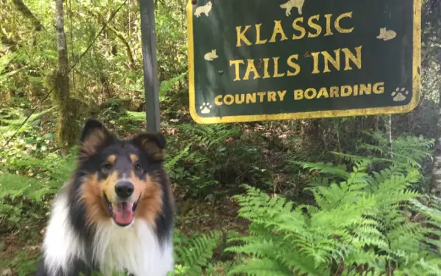 Klassic Tails Inn in Elmira, OR