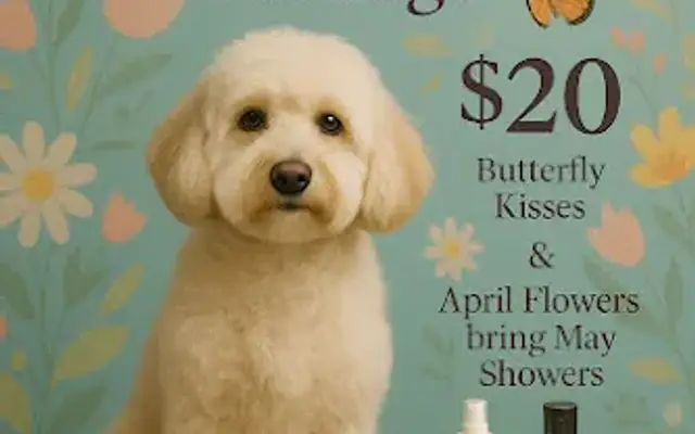 Pampered Puppy in Conyers, GA