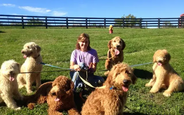 Twin Lakes Kennel, LLC in Lancaster, KY
