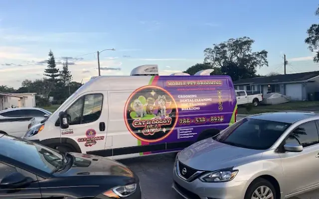 Cat & doggy style grooming in Weston, FL
