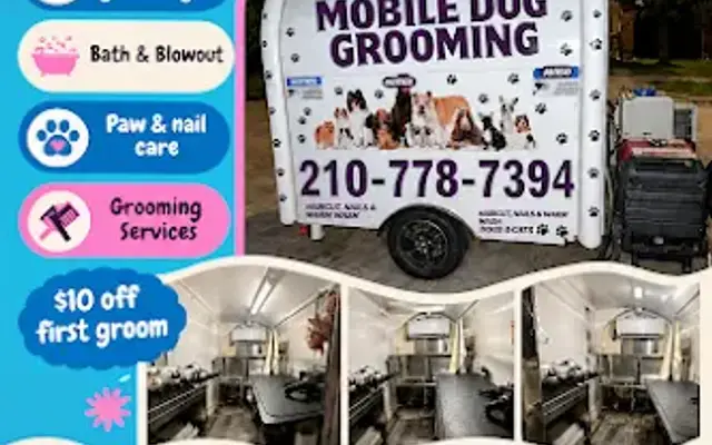 The Grooming Girls by MXZ in Houston, TX
