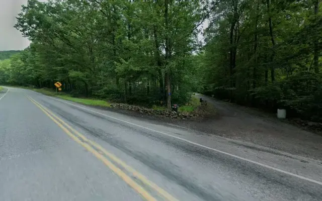 Dog Grooming Center & Boarding in Weatherly, PA