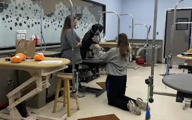 PetSmart Grooming in Prattville, AL