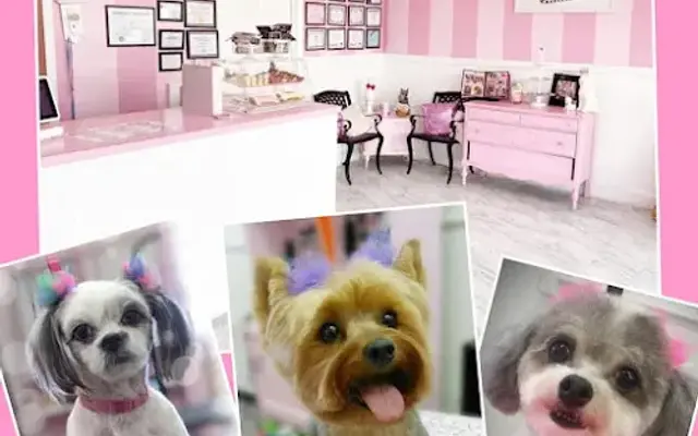 Groomer Girls Pet Salon in Lawrenceville, GA