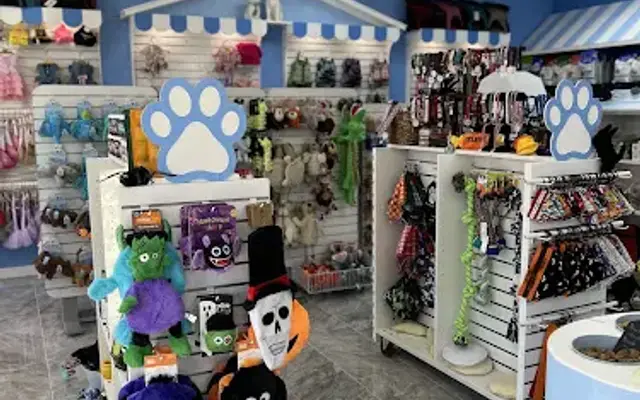 Le Studio Pets in Temple, TX