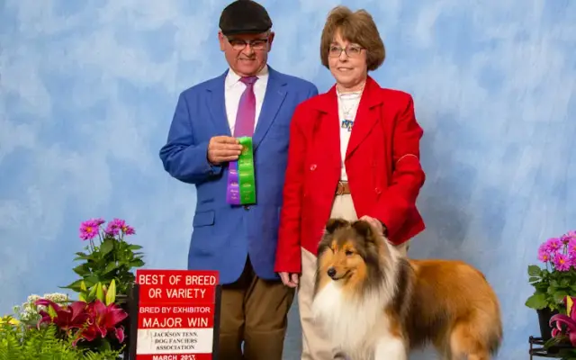 Holly Bluff Shelties in Holly Bluff, MS