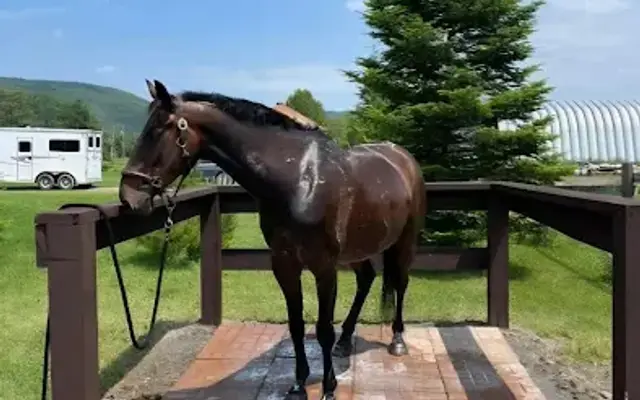 Farmstead Animal Care - Mobile in Wells, TX