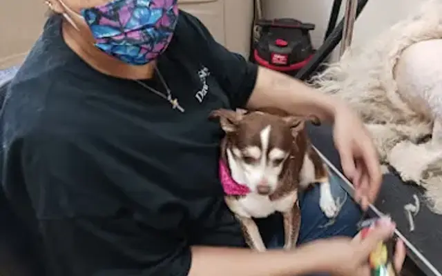 Dawgie Styles in Lake Elsinore, CA