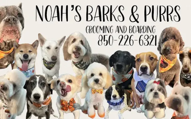 Noah's Barks and Purrs in Fort Walton Beach, FL