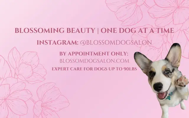 Blossom Dog Salon in Schwenksville, PA