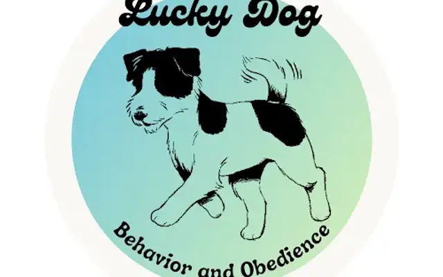 Lucky Dog Behavior and Obedience in Ashland, OR