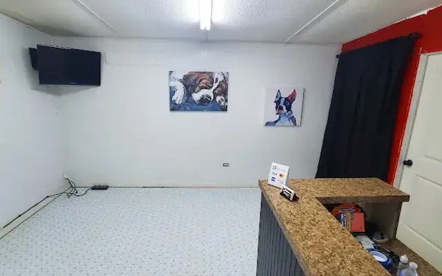 Modern Dog Spa in Schulenburg, TX