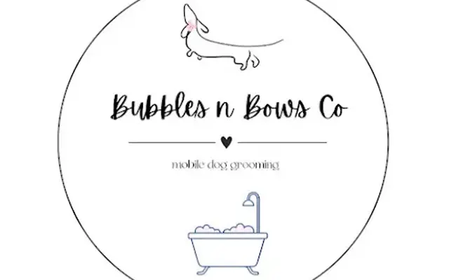 bubbles n bows co fredericksburg tx in Fredericksburg, TX
