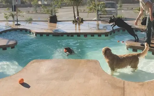 Dioji K-9 Resort & Athletic Club in Agoura Hills, CA