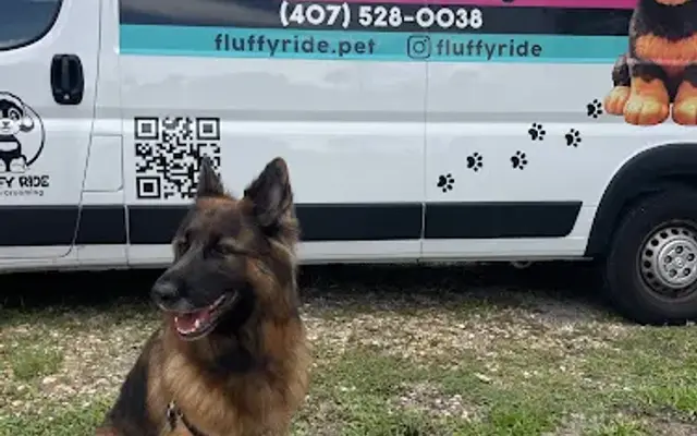 Fluffy Ride Mobile Grooming in Orlando, FL