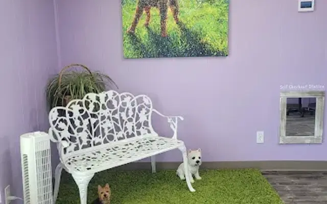 Little Yellow House Pet Grooming in Cottonwood, AZ