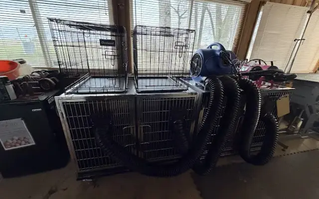 The Doggie Den in Washington Court House, OH
