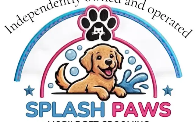 Splash Paws in Chester, VA