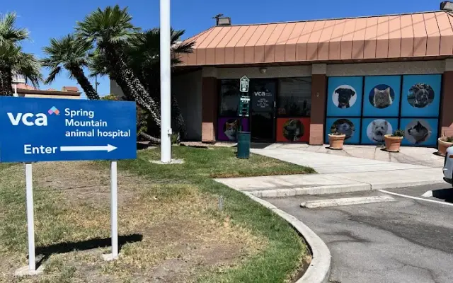 VCA Spring Mountain Animal Hospital in Las Vegas, NV