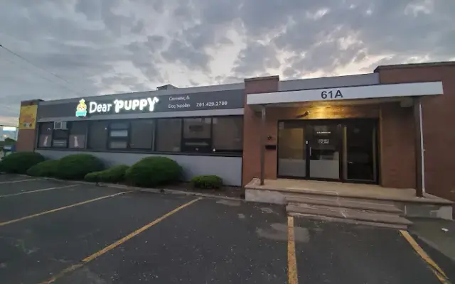 Dear Puppy in Palisades Park, NJ