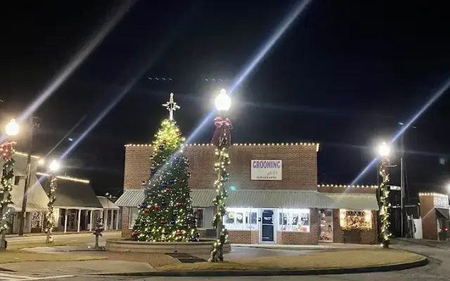 Grooming with Joy in Bremen, GA