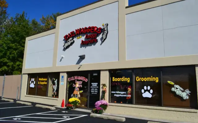 TailWaggers Doggy Daycare in Cincinnati, OH