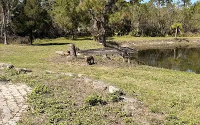 Stay n' Play Boarding and Grooming in Vero Beach, FL
