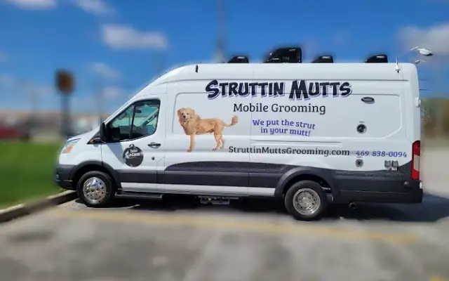 Struttin Mutts Mobile Grooming in Plano, TX