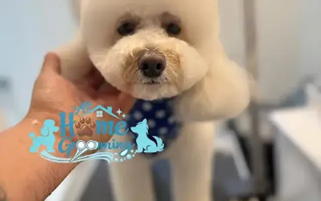 At Home Grooming LLC in Alexandria, VA