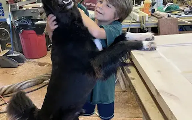 Pawstastic Pets in Mililani, HI