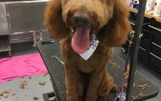 Best In Coat in West Chester, PA