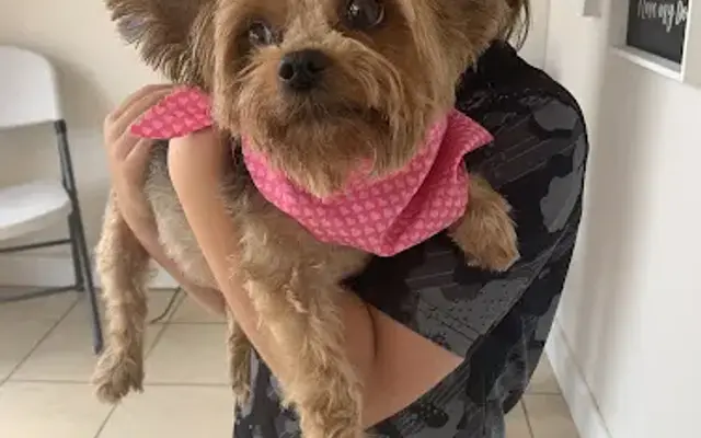 Le Posh Paws in Overton, TX