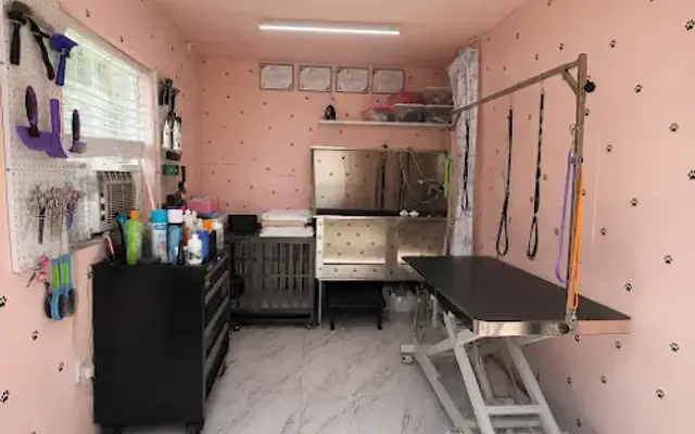 GOOD JUJU GROOMING in Royse City, TX