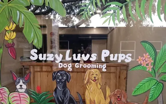 Suzy Luvs Pups in Ormond Beach, FL