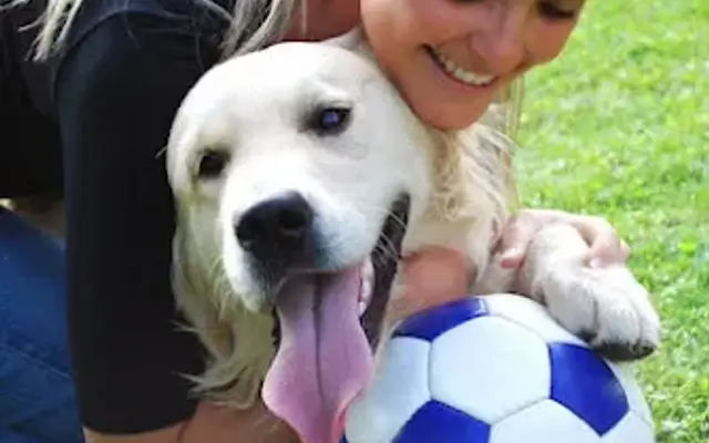 Pet Paradise Animal Hospital & Resort in Apopka, FL